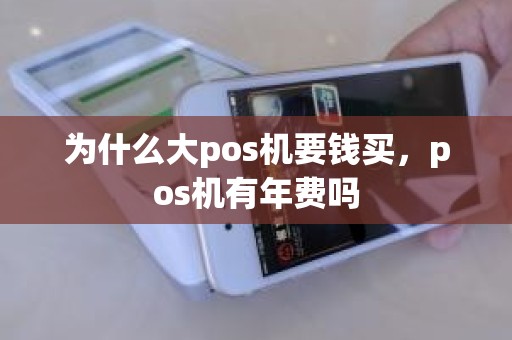 为什么大pos机要钱买，pos机有年费吗