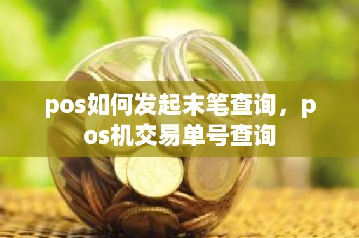 pos如何发起末笔查询，pos机交易单号查询