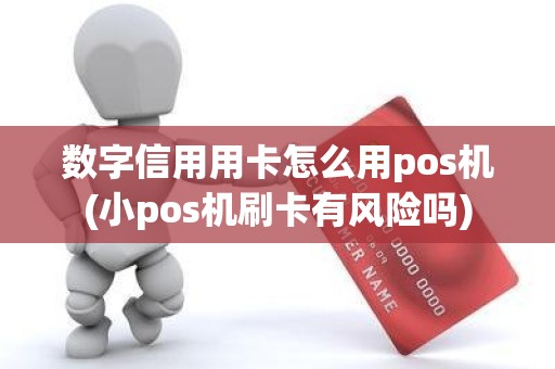 数字信用用卡怎么用pos机(小pos机刷卡有风险吗)