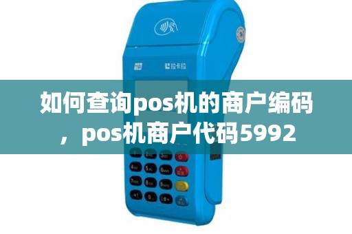 如何查询pos机的商户编码，pos机商户代码5992