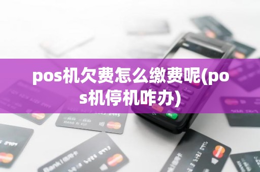 pos机欠费怎么缴费呢(pos机停机咋办)