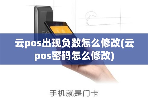 云pos出现负数怎么修改(云pos密码怎么修改)