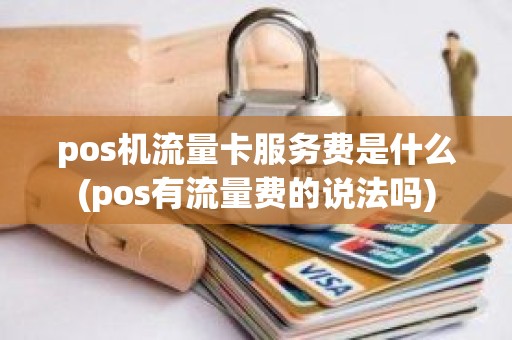pos机流量卡服务费是什么(pos有流量费的说法吗)