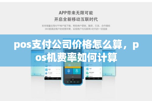 pos支付公司价格怎么算，pos机费率如何计算