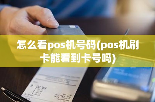 怎么看pos机号码(pos机刷卡能看到卡号吗)