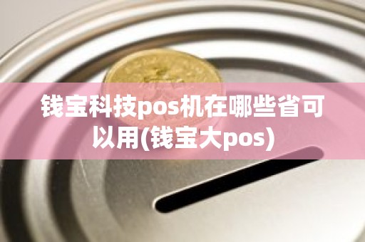 钱宝科技pos机在哪些省可以用(钱宝大pos)