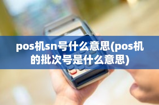 pos机sn号什么意思(pos机的批次号是什么意思)