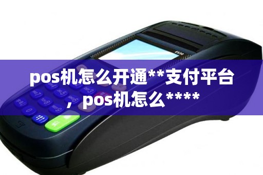 pos机怎么开通**支付平台，pos机怎么****