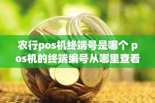 农行pos机终端号是哪个 pos机的终端编号从哪里查看