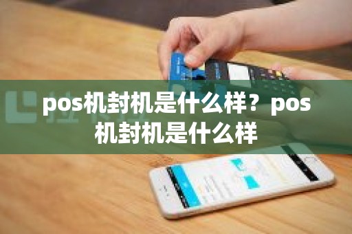 pos机封机是什么样？pos机封机是什么样