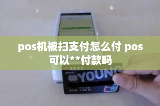 pos机被扫支付怎么付 pos可以**付款吗