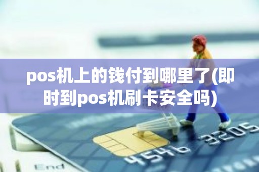 pos机上的钱付到哪里了(即时到pos机刷卡安全吗)