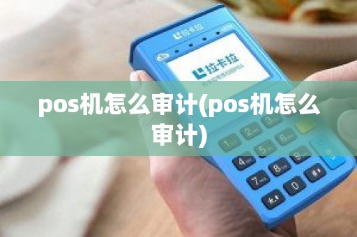 pos机怎么审计(pos机怎么审计)