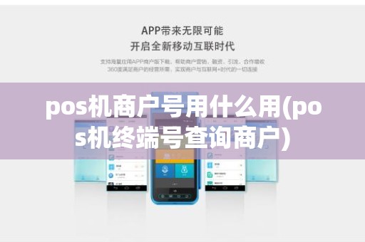 pos机商户号用什么用(pos机终端号查询商户)