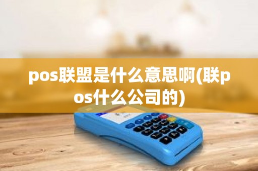 pos联盟是什么意思啊(联pos什么公司的)