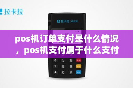 pos机订单支付是什么情况，pos机支付属于什么支付方式