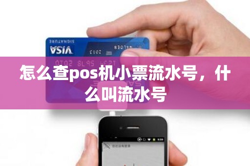 怎么查pos机小票流水号，什么叫流水号