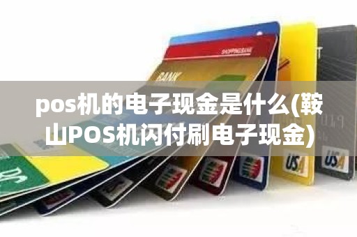 pos机的电子现金是什么(鞍山POS机闪付刷电子现金)
