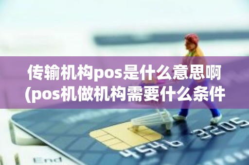 传输机构pos是什么意思啊(pos机做机构需要什么条件)