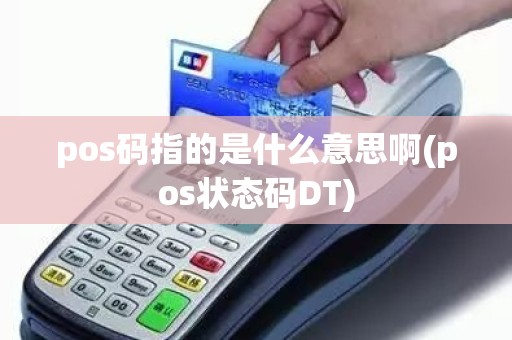 pos码指的是什么意思啊(pos状态码DT)