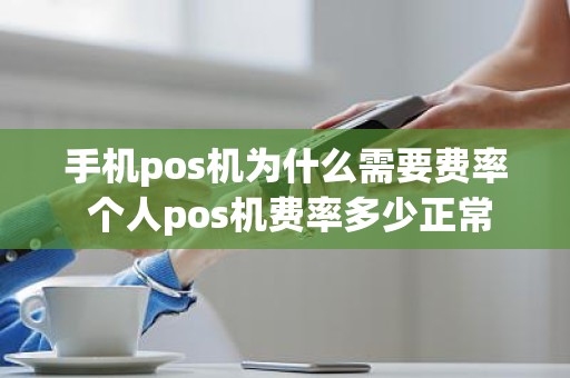 手机pos机为什么需要费率 个人pos机费率多少正常