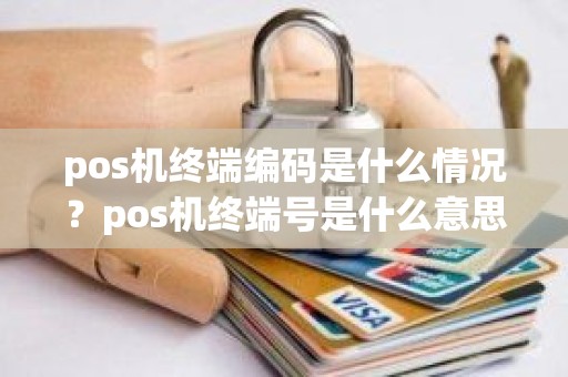 pos机终端编码是什么情况？pos机终端号是什么意思