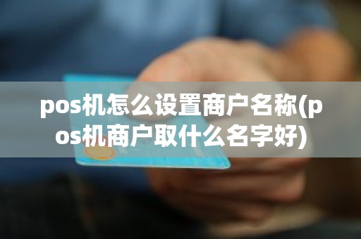 pos机怎么设置商户名称(pos机商户取什么名字好)