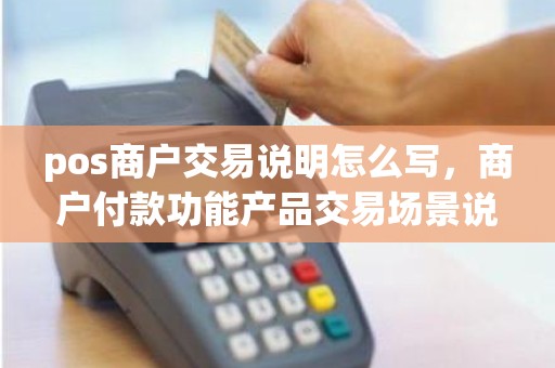 pos商户交易说明怎么写，商户付款功能产品交易场景说明
