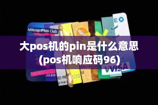 大pos机的pin是什么意思(pos机响应码96)