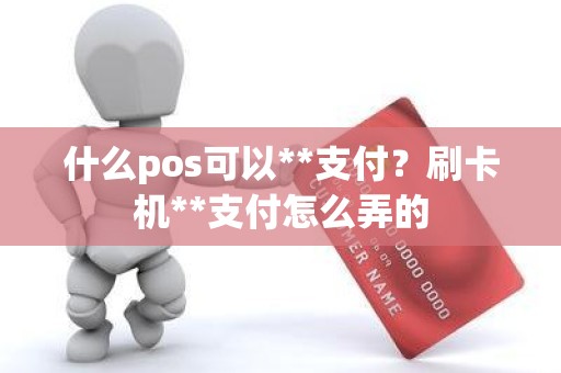 什么pos可以**支付？刷卡机**支付怎么弄的