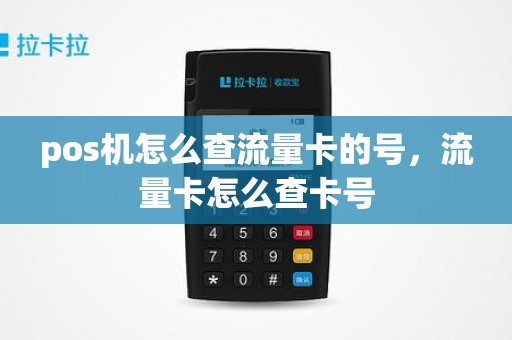 pos机怎么查流量卡的号，流量卡怎么查卡号