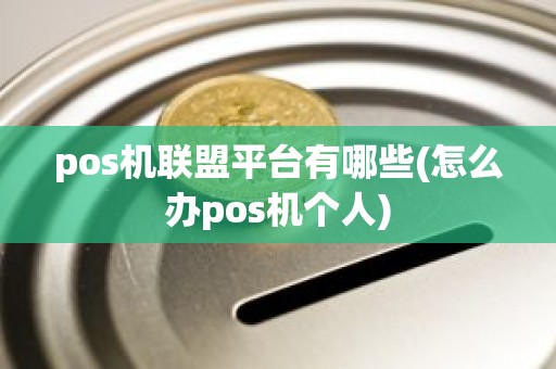 pos机联盟平台有哪些(怎么办pos机个人)