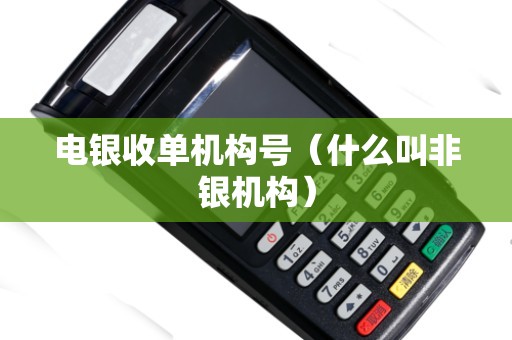 电银收单机构号（什么叫非银机构）
