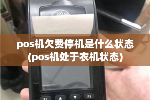 pos机欠费停机是什么状态(pos机处于衣机状态)