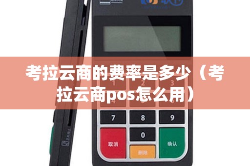 考拉云商的费率是多少(考拉云商pos怎么用) 考拉云商的费率是多少(考拉云商pos怎么用)