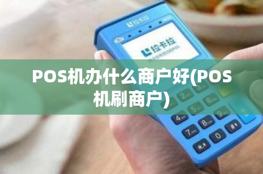 POS机办什么商户好(POS机刷商户)
