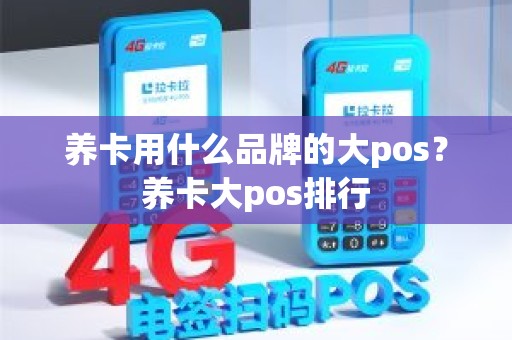 养卡用什么品牌的大pos？养卡大pos排行