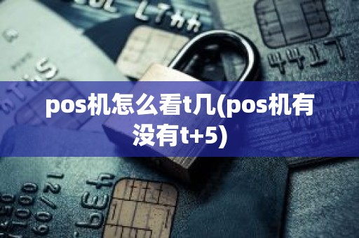 pos机怎么看t几(pos机有没有t+5)