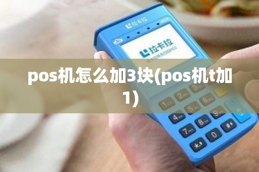 pos机怎么加3块(pos机t加1)