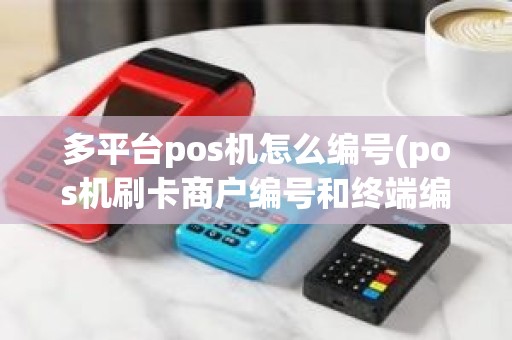 多平台pos机怎么编号(pos机刷卡商户编号和终端编号)