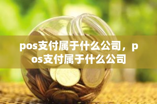 pos支付属于什么公司，pos支付属于什么公司