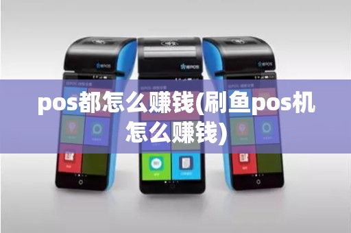pos都怎么赚钱(刷鱼pos机怎么赚钱)