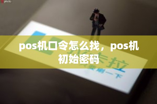 pos机口令怎么找，pos机初始密码