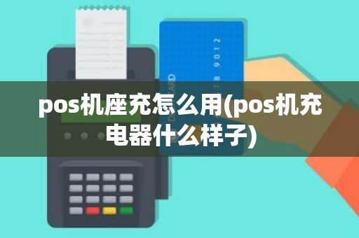 pos机座充怎么用(pos机充电器什么样子)