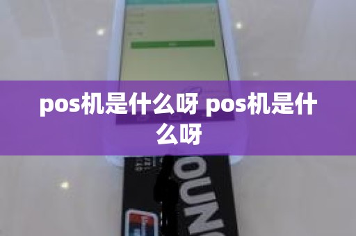 pos机是什么呀 pos机是什么呀