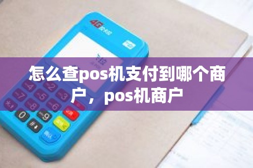 怎么查pos机支付到哪个商户，pos机商户