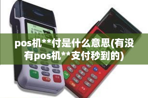 pos机**付是什么意思(有没有pos机**支付秒到的)