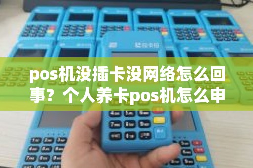pos机没插卡没网络怎么回事？个人养卡pos机怎么申请