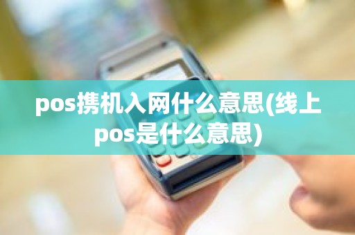 pos携机入网什么意思(线上pos是什么意思)