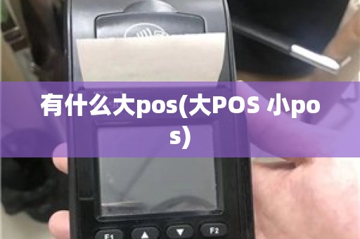 有什么大pos(大POS 小pos)
